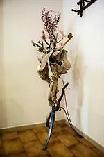 Argostoli מלון